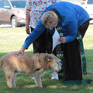 Pet Blessing